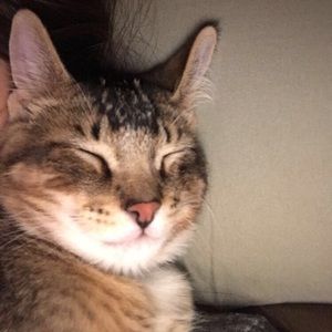 Meet your Posher, Stella